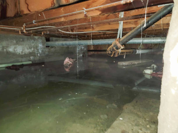 Best Water damage restoration near me  in Manson, WA