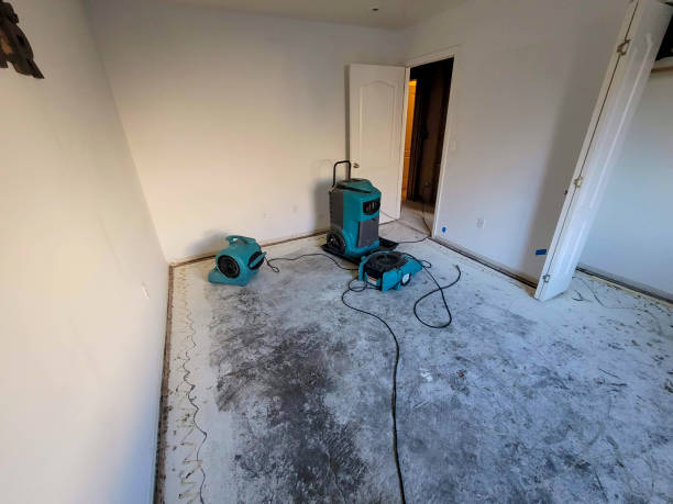 Carpet water damage restoration in Manson, WA