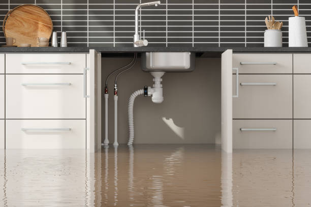 Best Residential water damage restoration  in Manson, WA