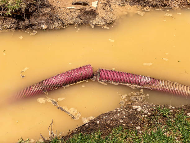 Water damage restoration process in Manson, WA
